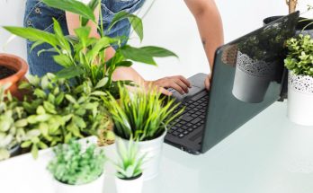 working with plant