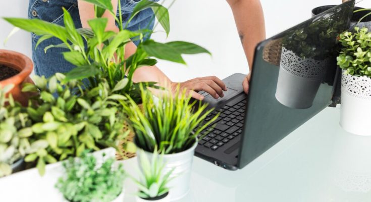 working with plant